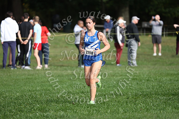 WHS_cc_g_17
