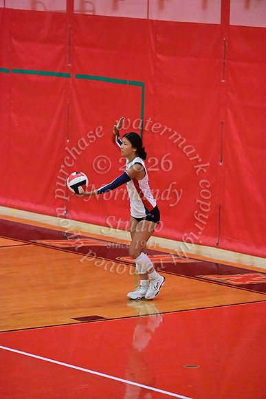 MSM_vb_14