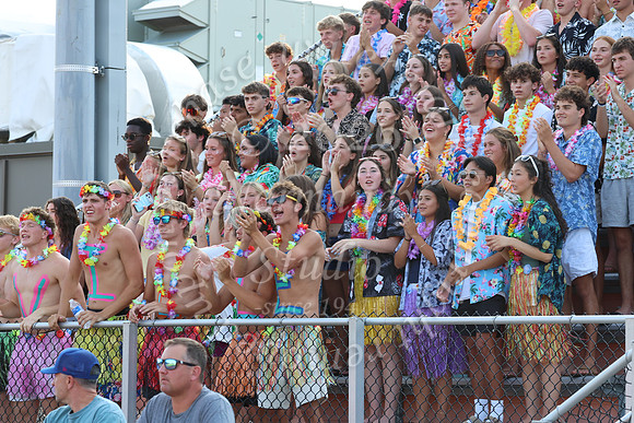 SVL_fb_fans_17