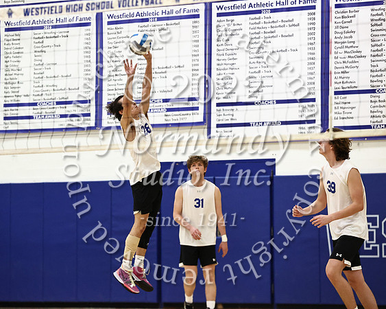 WHS_vb_b_v_33