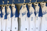 WHS_002_bb-v