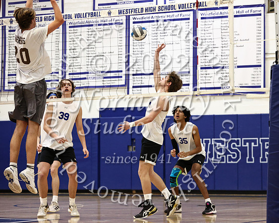 WHS_vb_b_v_19