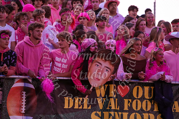 DVH_fans_02