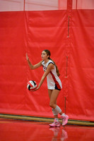 MSM_vb_10