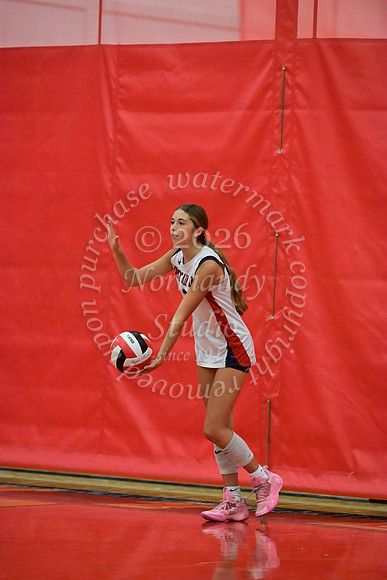 MSM_vb_10
