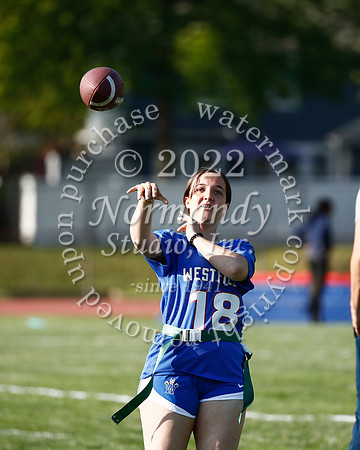 WHS_flag_fb_13