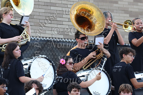 SVL_mb_in_stands_22