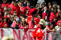 BER_fans_03