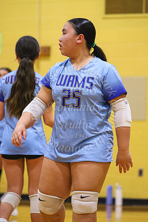 WAM_vb-b_37