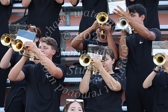 SVL_mb_in_stands_51
