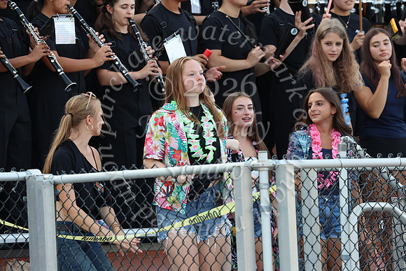 SVL_mb_in_stands_34