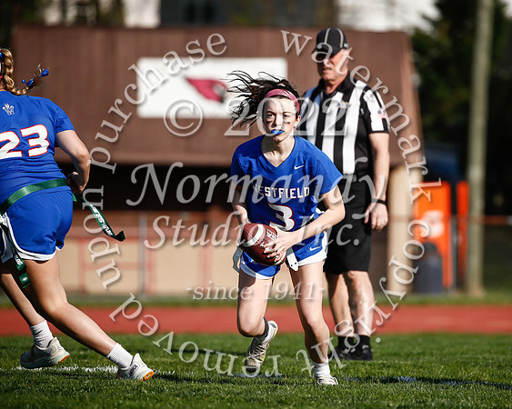 WHS_flag_fb_24
