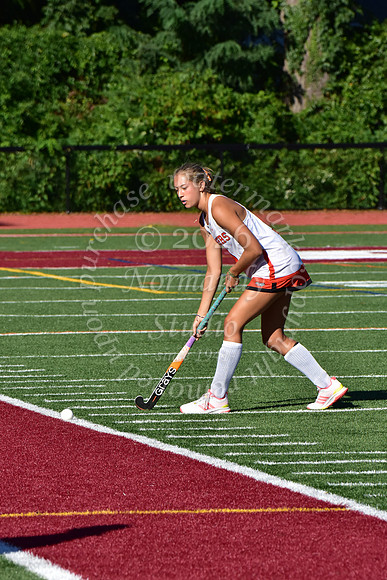 SVL_fh_35