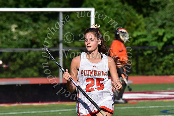 SVL_fh_74