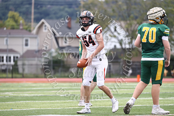 SVL_fb_jv-56