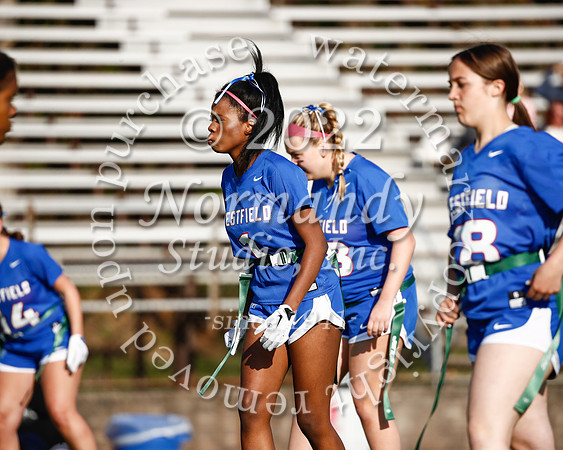 WHS_flag_fb_48