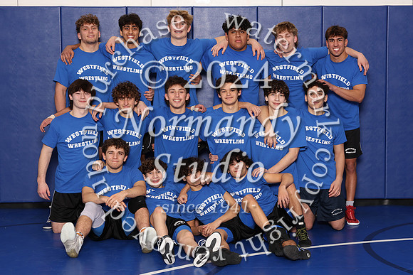 WHS_wr-t_07