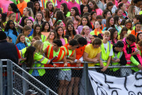 HCH_fans_01