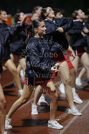 MNP_dt_23