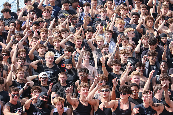 SHP_fans_28