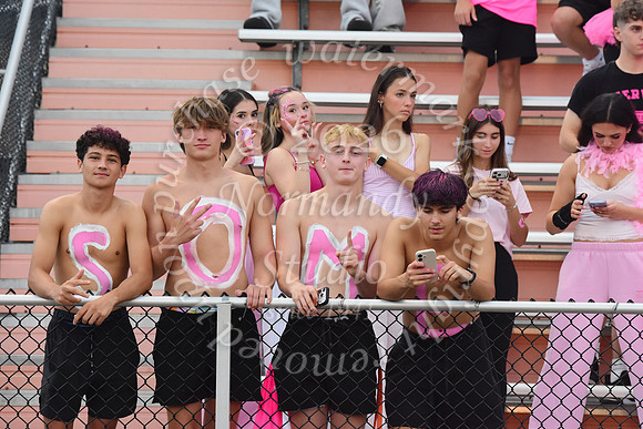 SVL_fans_05
