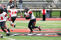 SVL_fb-f_05