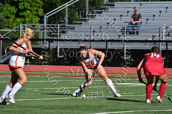 SVL_fh_49