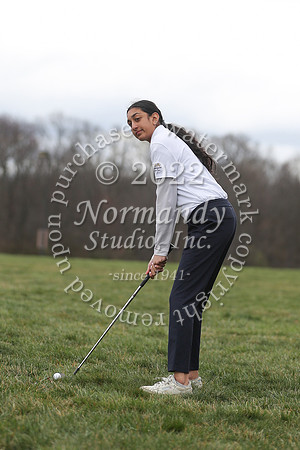 MON_go_34