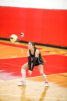 IMC_vb-g_02