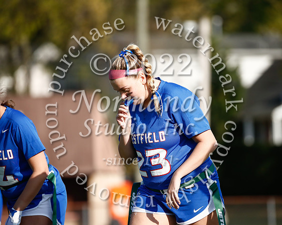 WHS_flag_fb_20
