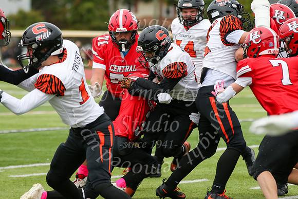 SVL_fb-f_29