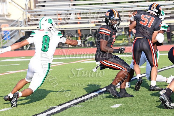 SVL_fb_016