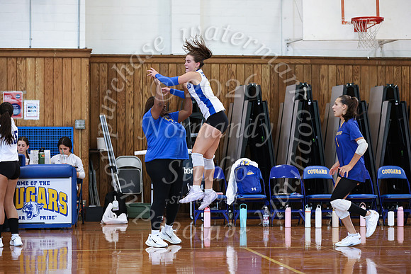 CHS_vb_g_-52