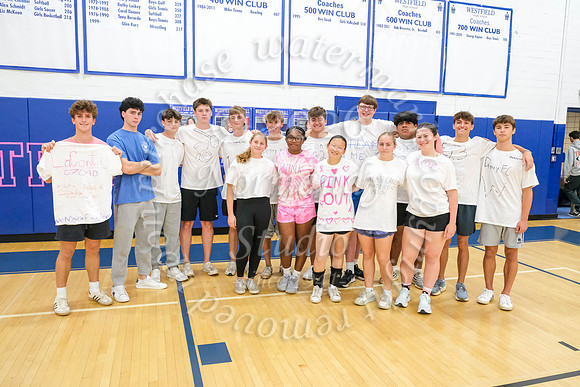 WHS_vb_20