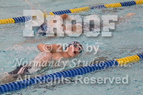 WMC_39_sw-b