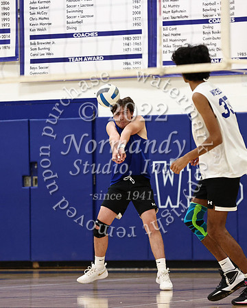 WHS_vb_b_v_44