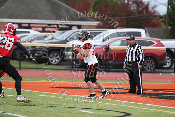SVL_fb-f_20