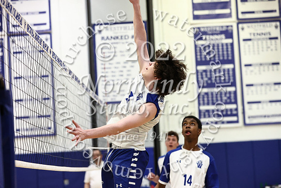 WHS_vb_b_j_47