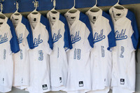 WHS_001_bb-v