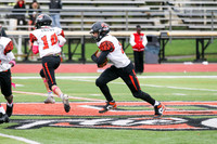 SVL_fb-f_04