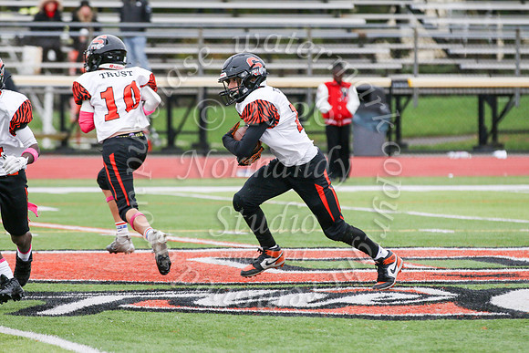 SVL_fb-f_04