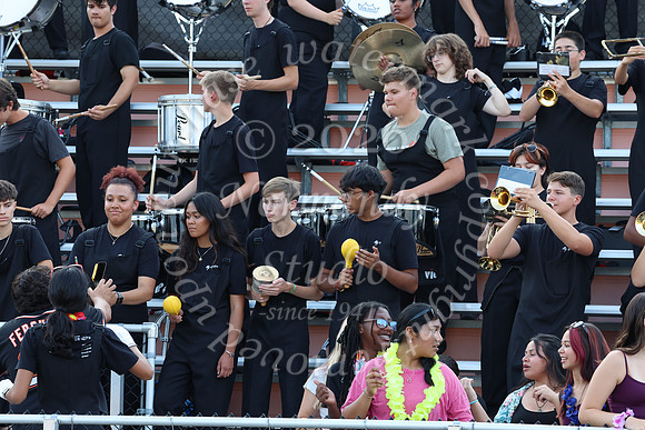 SVL_mb_in_stands_46