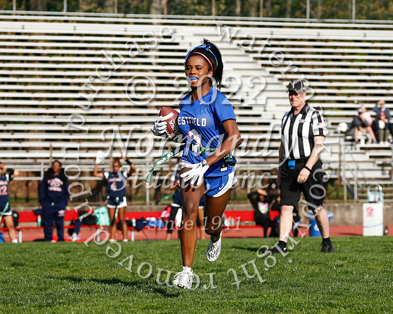 WHS_flag_fb_30