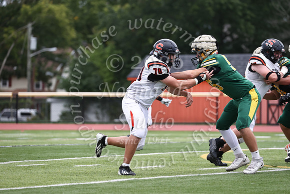 SVL_fb_jv-32