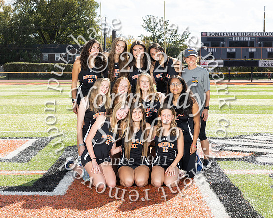 SVL_cc-g-t_06