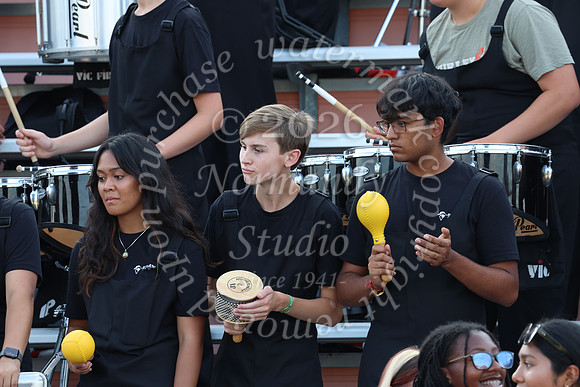 SVL_mb_in_stands_49