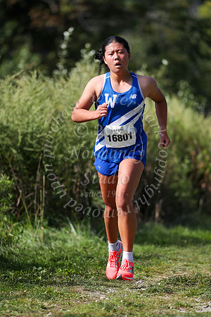 WHS_cc-g_13
