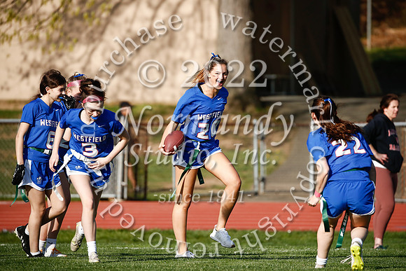 WHS_flag_fb_38