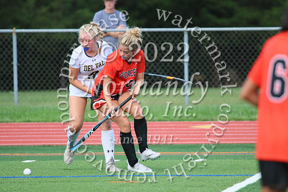 DVH_fh_48