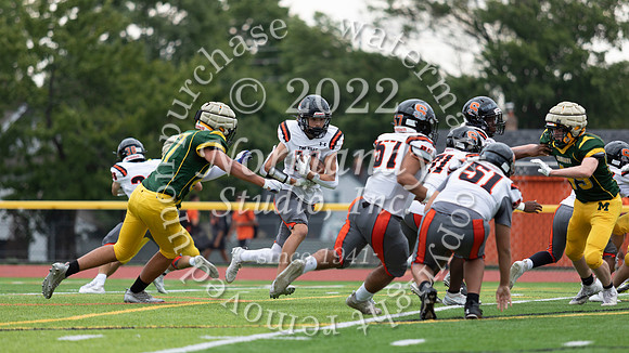 SVL_fb-j_42